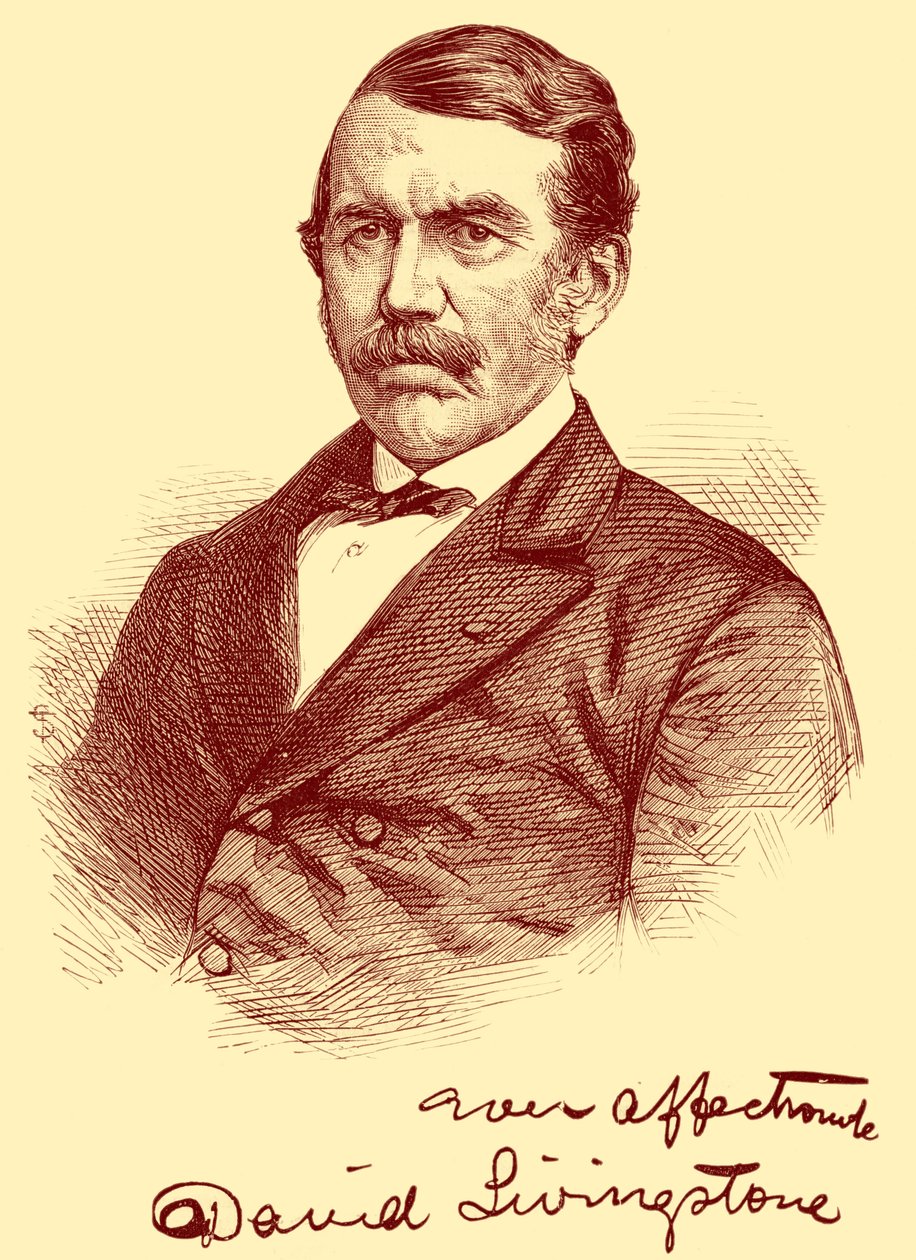 David Livingstone by Unbekannter Künstler