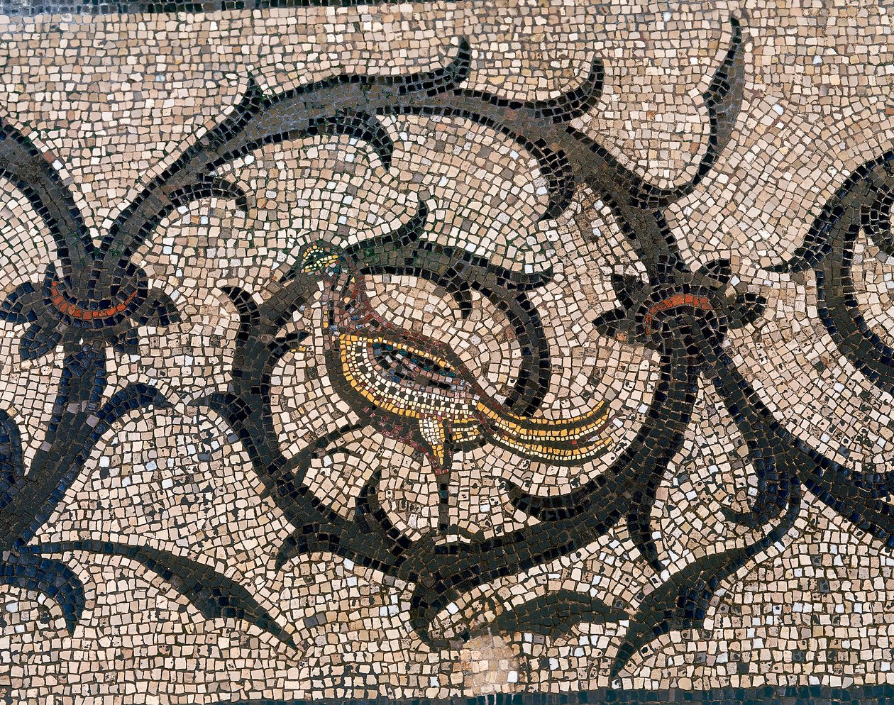 Detail of floor of the early Christian Basilica of Aquileia, Udine by Unbekannt