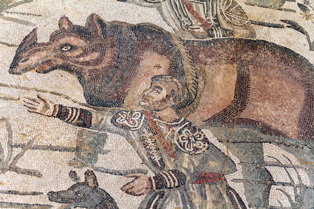 Detail of the great hunt mosaic. A rhinoceros is being led onto a boat to be transported to the nearest port. 3rd - 4th century. Roman Villa of the Casale, Sicily. UNESCO site. by William M. Timlin