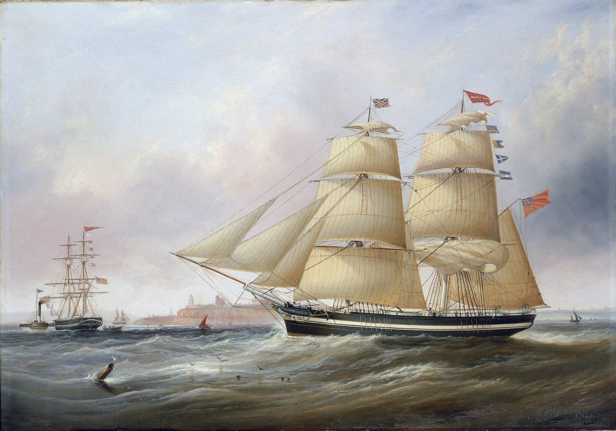 Double portrait of the boat 