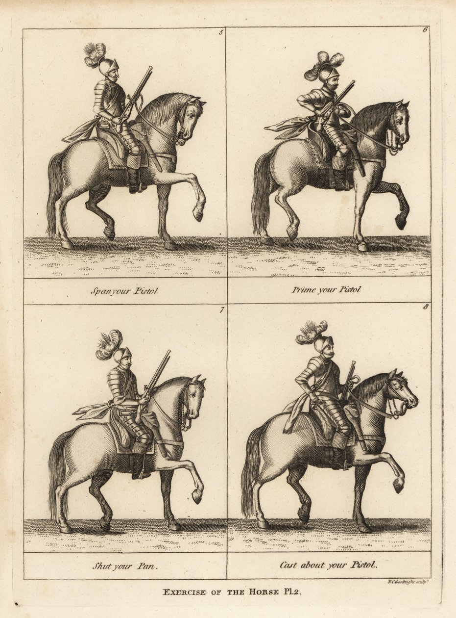 Exercise of the horse by Unbekannt