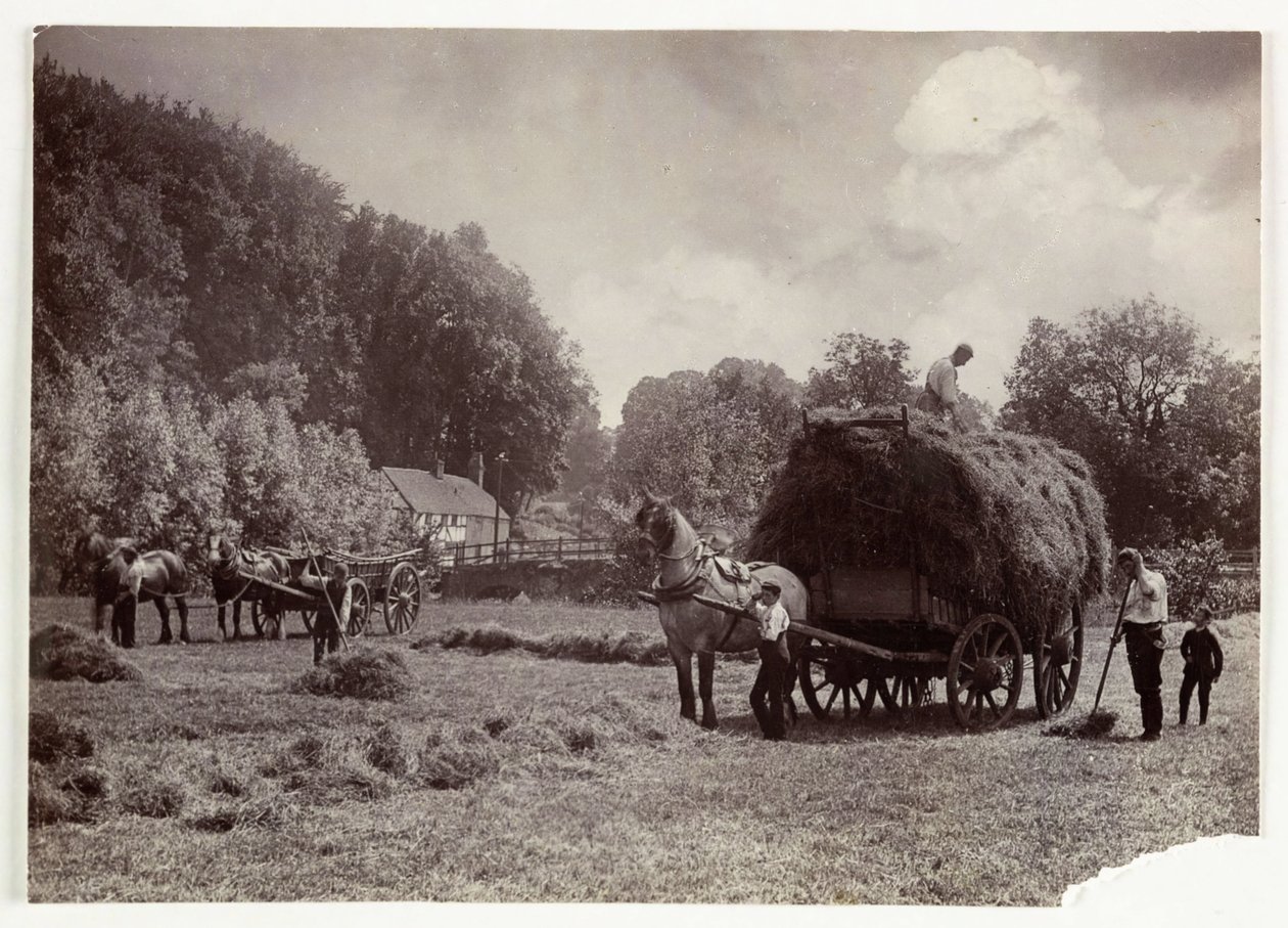 Farming Scenes, Harvesting & Storage, Pre-1900 Haymaking, c 1890 by Unbekannt