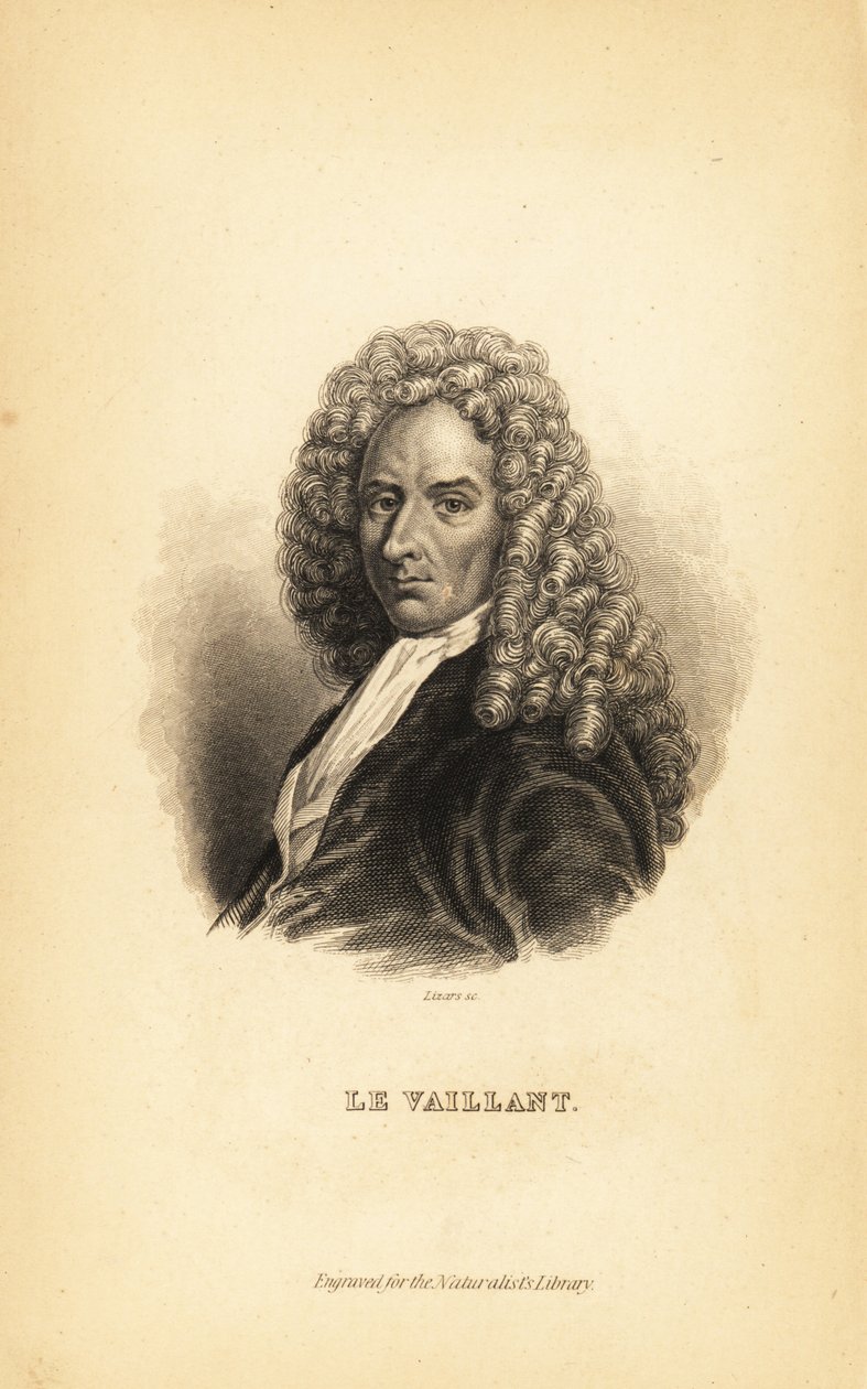 Francois le Vaillant, French author, explorer, naturalist and ornithologist by Unbekannt