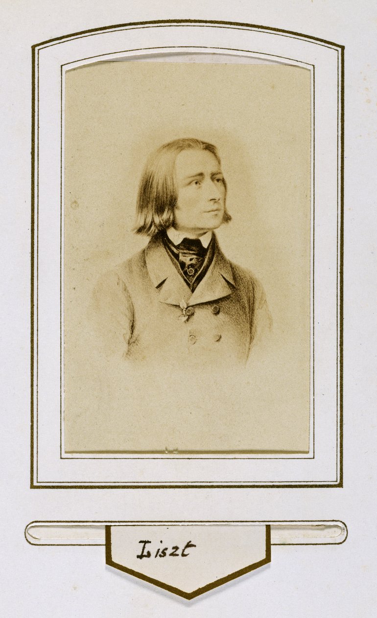 Franz Liszt when young by Unbekannter Künstler