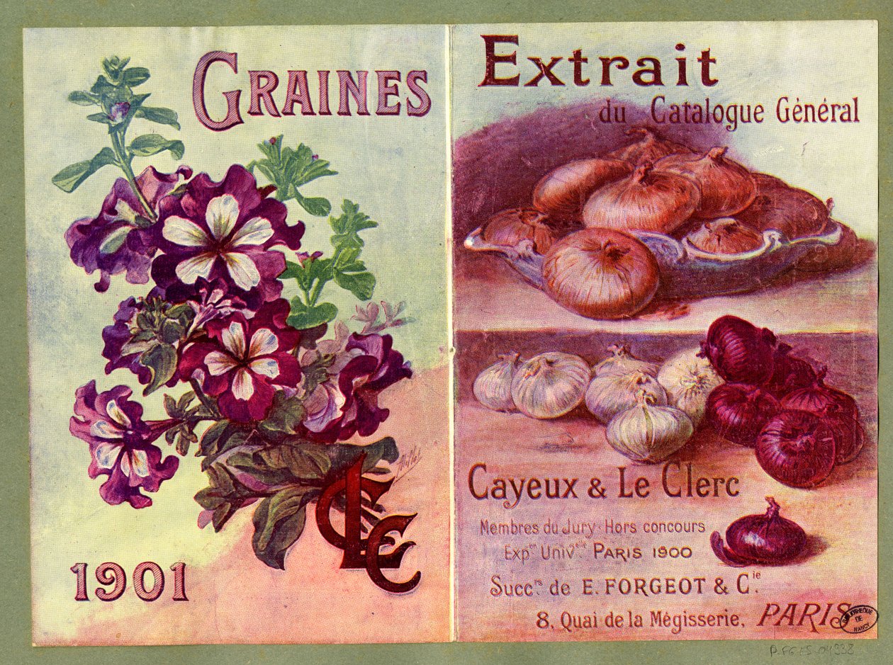 Seeds by Unbekannter Künstler