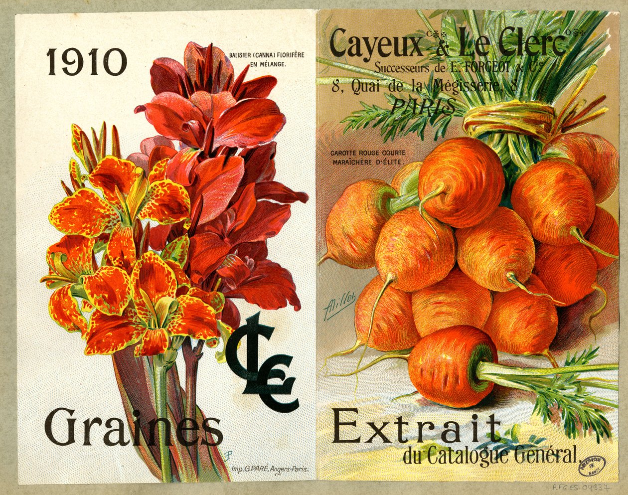 Seeds by Unbekannter Künstler