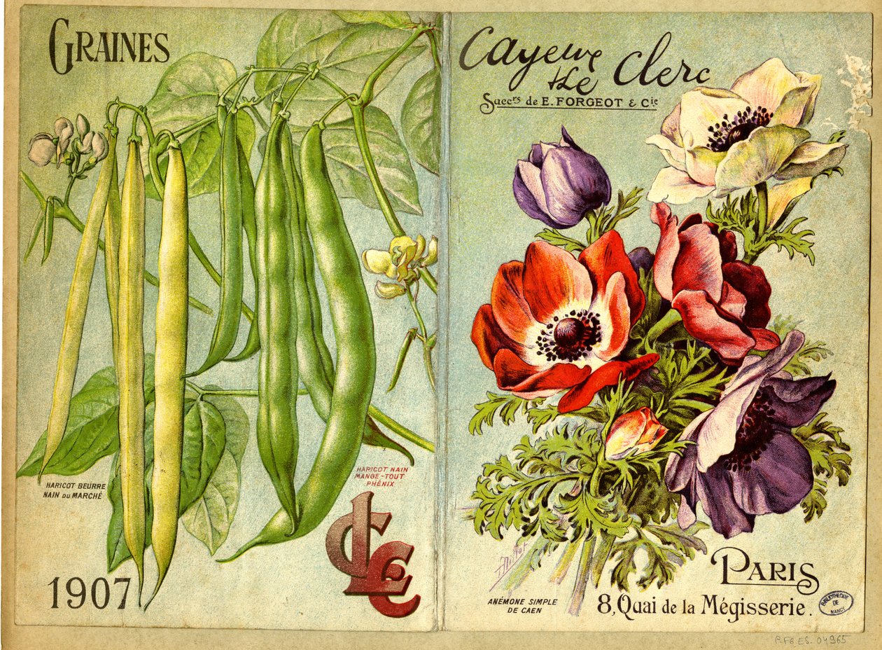 Seeds by Unbekannter Künstler