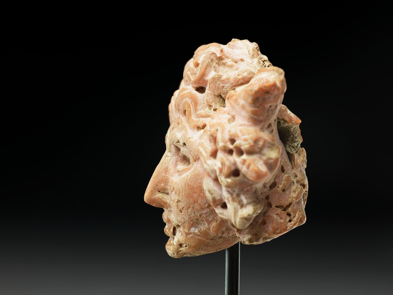 Head of Medusa, from Bactria or Gandhara, 2nd-1st century BC by Unbekannt