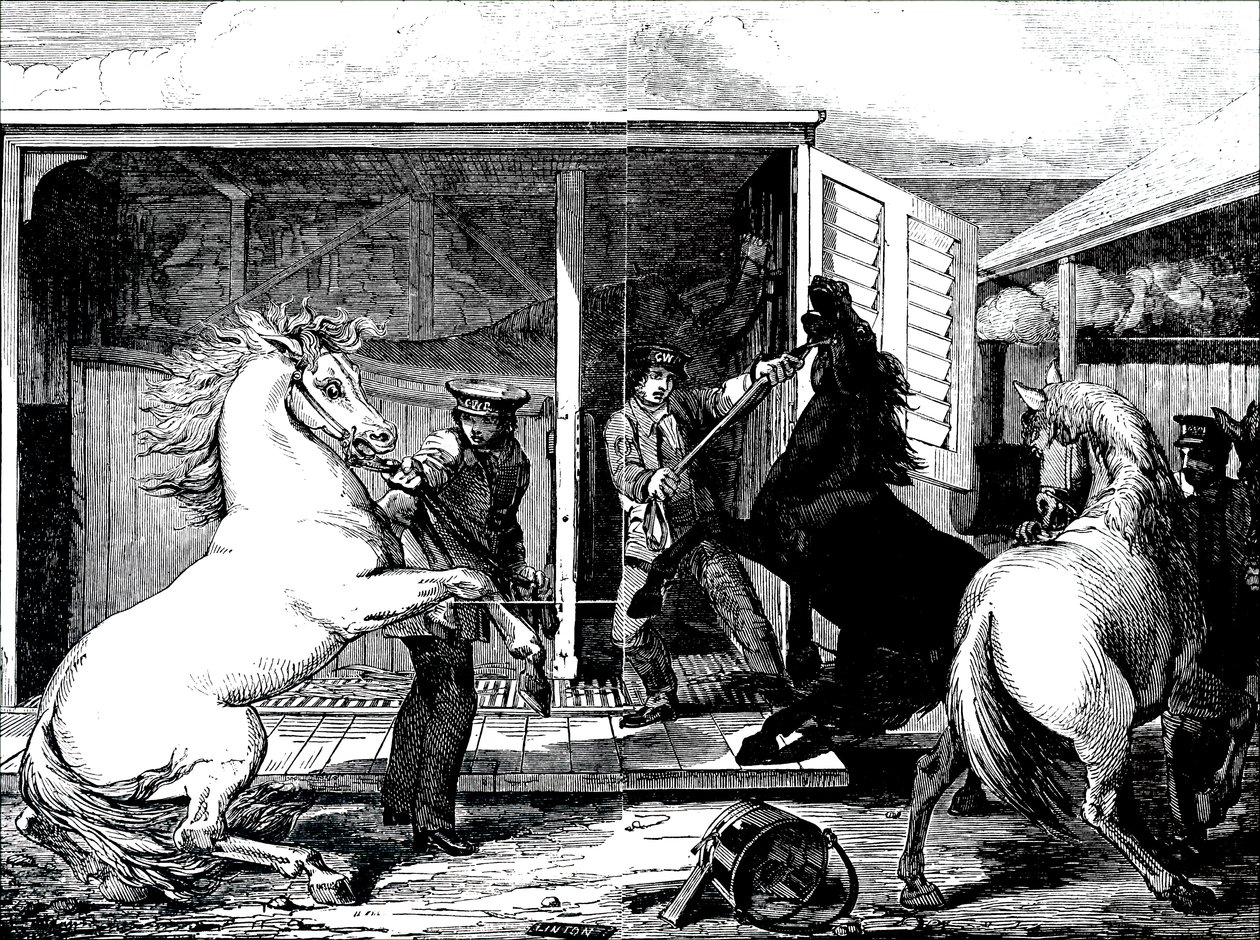 Horses at Gloucester Train Station by Unbekannt