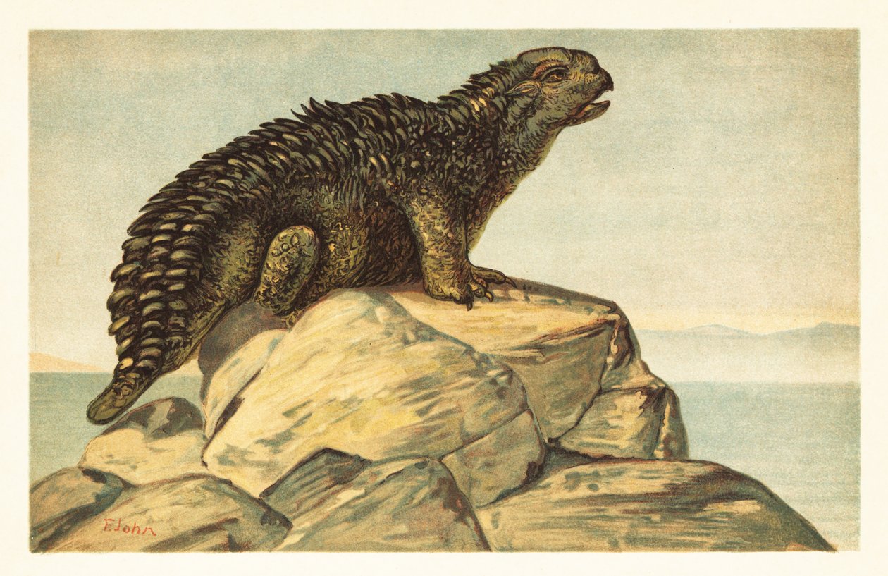 Hylaeosaurus Armatus, Extinct Herbivorous Ankylosaurian Dinosaur by Unbekannter Künstler