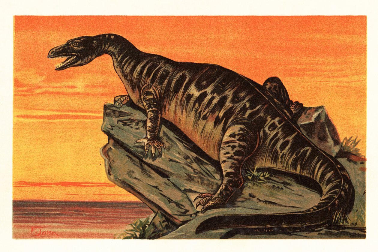 Iguanodon Bernissartensis, Extinct Species of Iguanodontian Dinosaur 1908 by Unbekannter Künstler