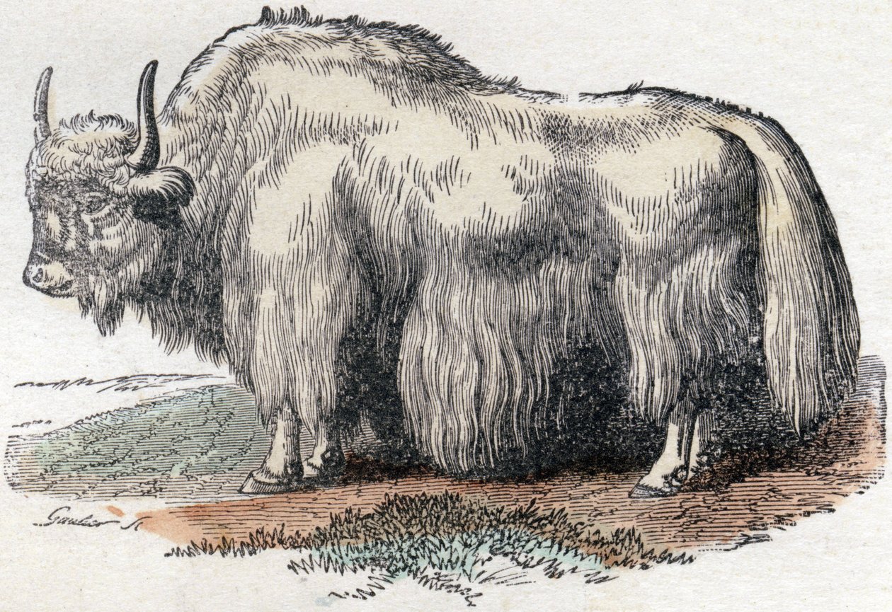 Illustration for 