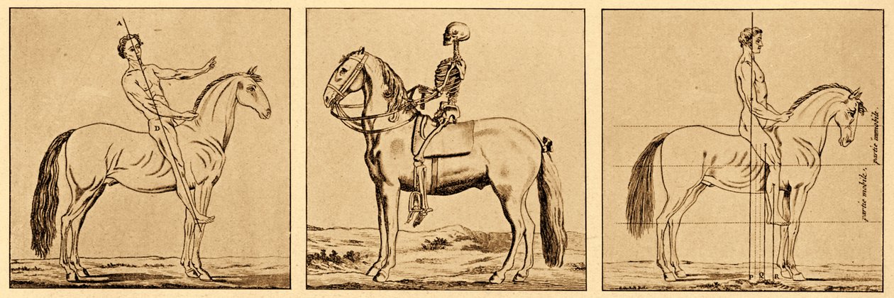 Instructions on the Posture on Horseback by Unbekannter Künstler