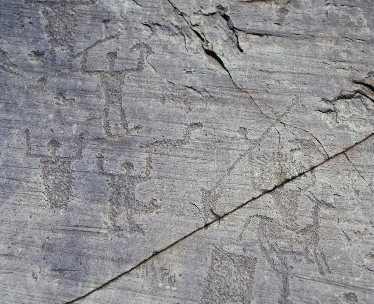 Close-up of Rock Drawings in Naquane National Park, Valcamonica, Lombardy Region, Italy by Benjamin Baud