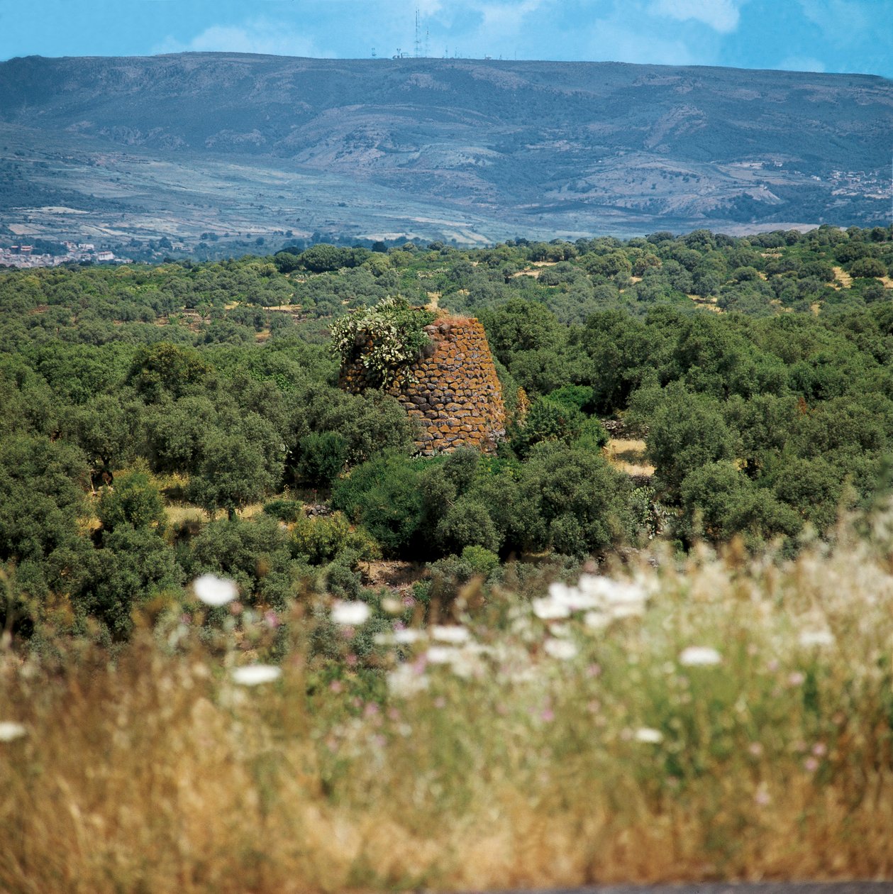 Nuraghe Crabia (Oristano Province, Sardinia) by William M. Timlin