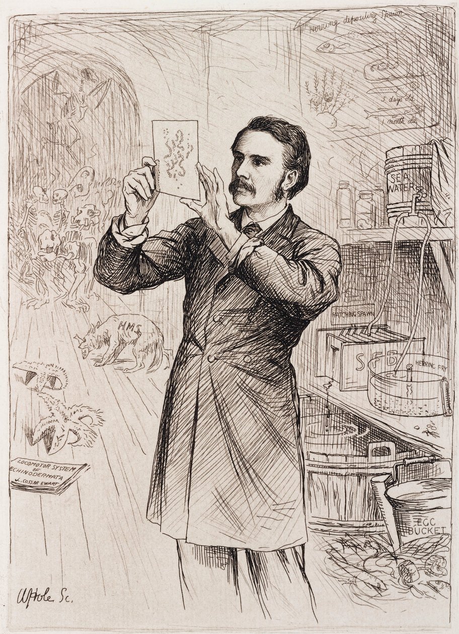 James Cossar Ewart, Zoologist by Unbekannt