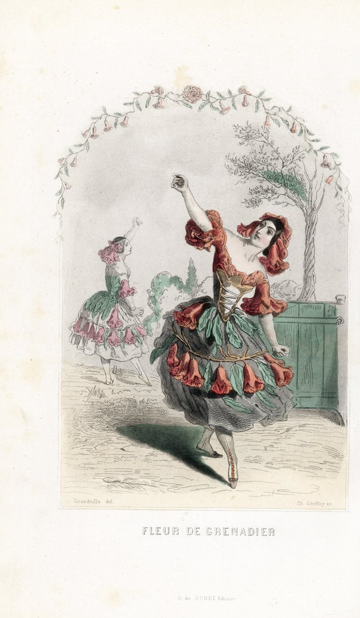 The pomegranate flower fairy dances - Etching by Charles Geoffroy, based on an illustration by Jean Ignace Isidore Gerard for Les fleurs animees by Unbekannter Künstler