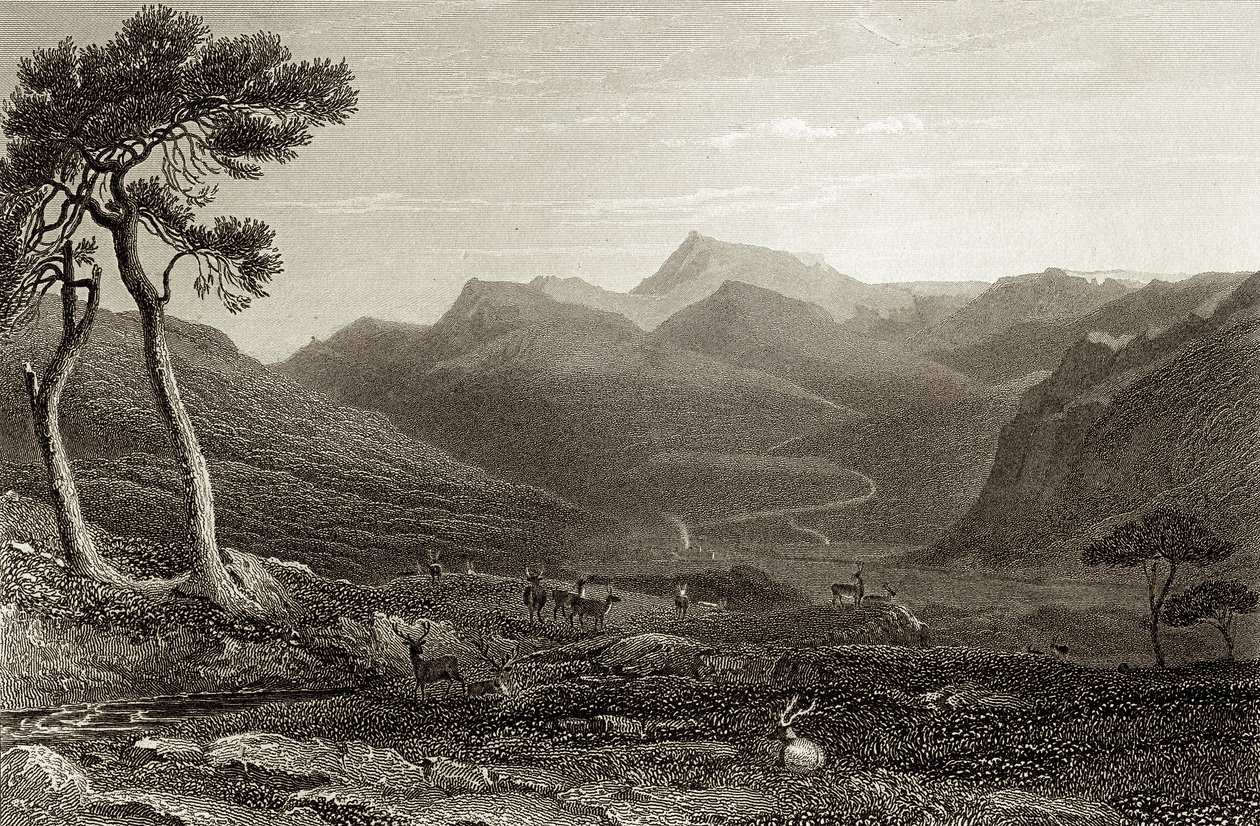Lachin Y Gair by Unbekannter Künstler