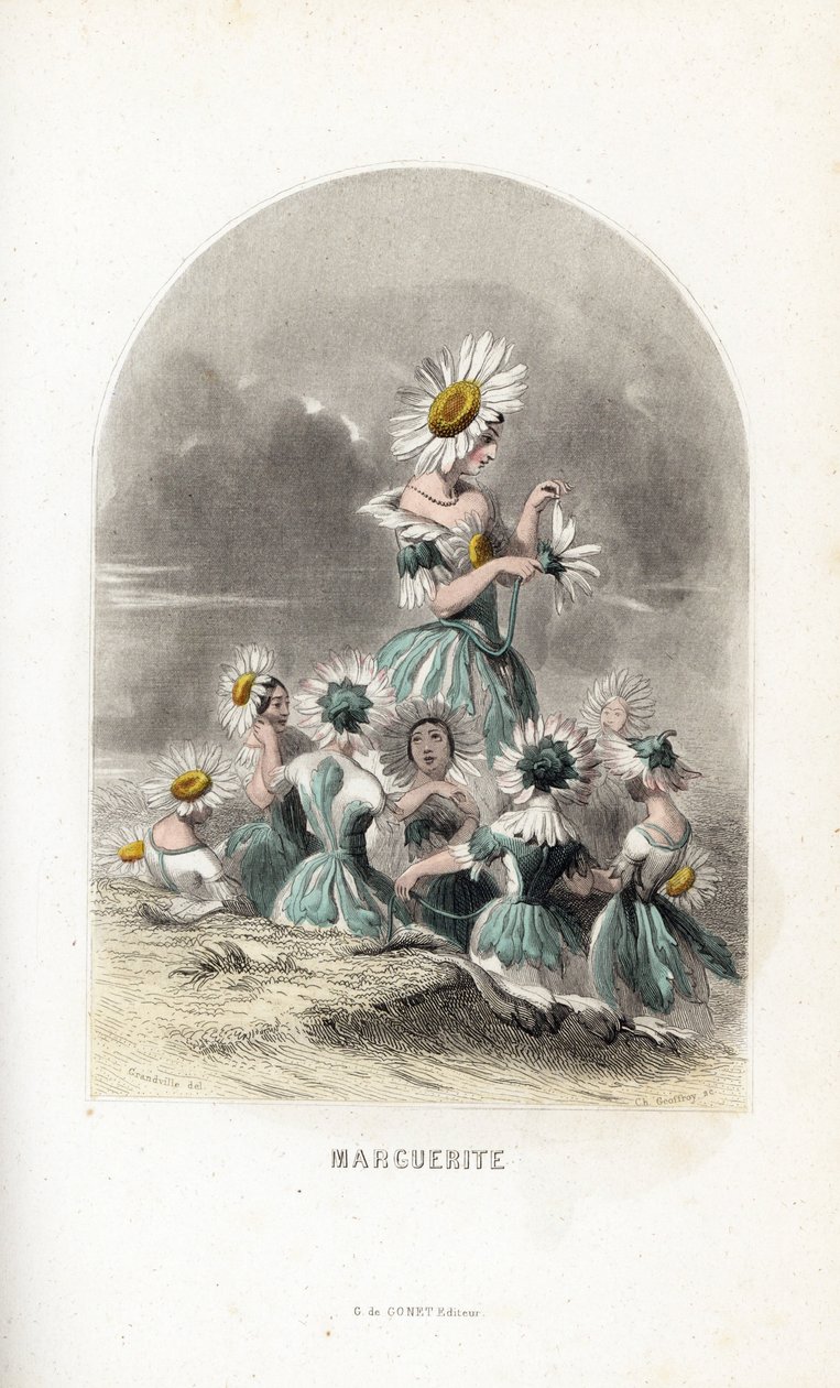 The fairies of the daisies of the meadows, topped with flower hats, one leaves the petals of a daisy - Etching by Charles Geoffroy, after an illustration by Jean Ignace Isidore Gerard for Les fleurs animees by Unbekannter Künstler