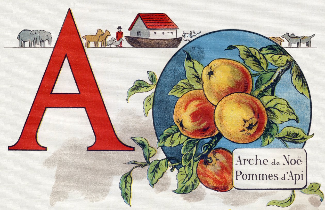 Letter A: Noe