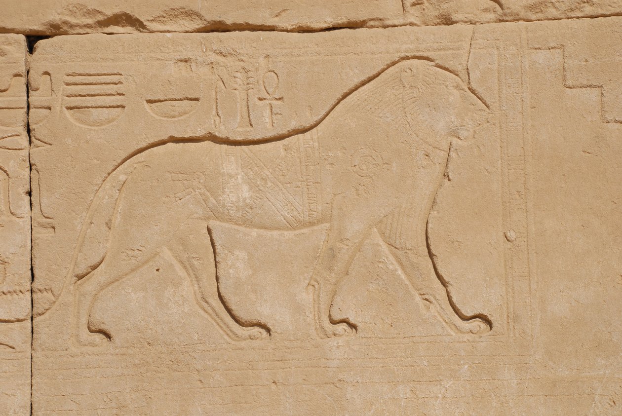 Lion Carving, Karnak, Luxor, Egypt by Unbekannt