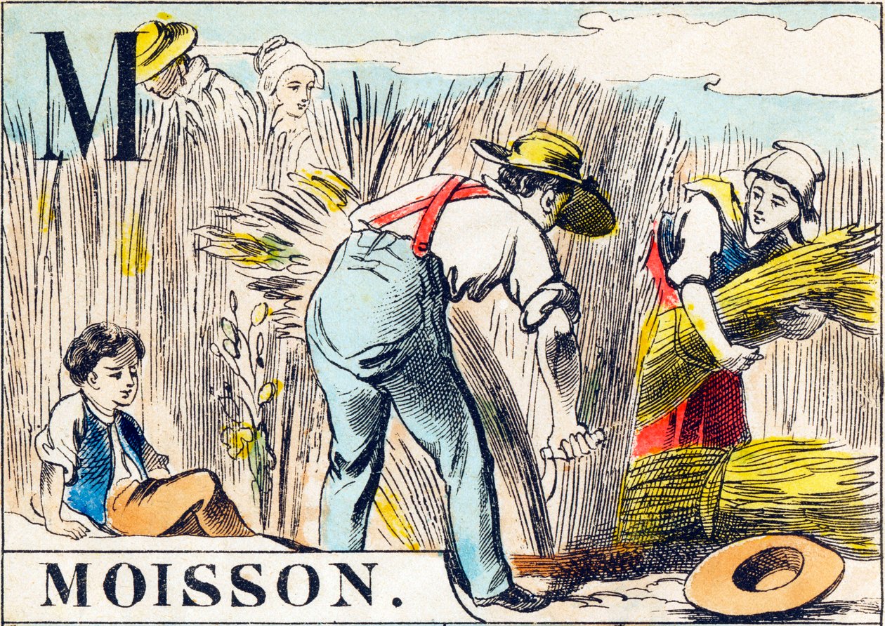 M Moisson - 