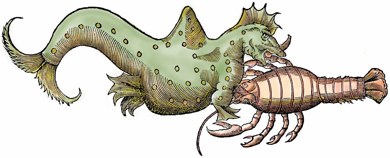 Marine dragon and giant crustacean, xylography taken from 
