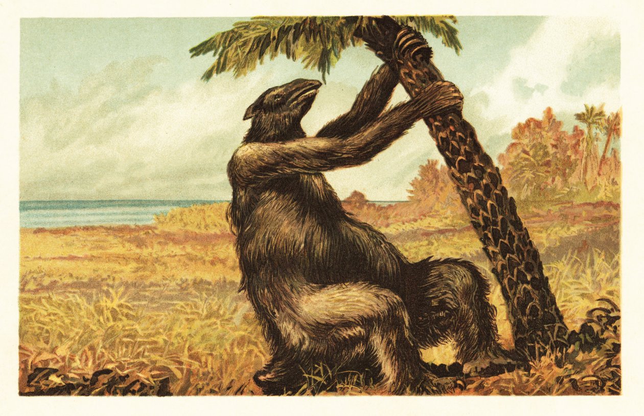 Megatherium Americanum Pulling on a Palm Tree by Unbekannter Künstler