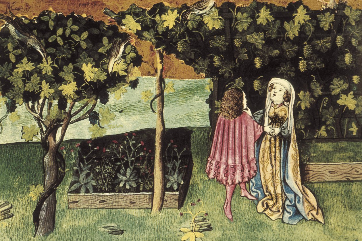Miniature on grapes, fruit that reduces abdominal fat and thins by Unbekannter Künstler