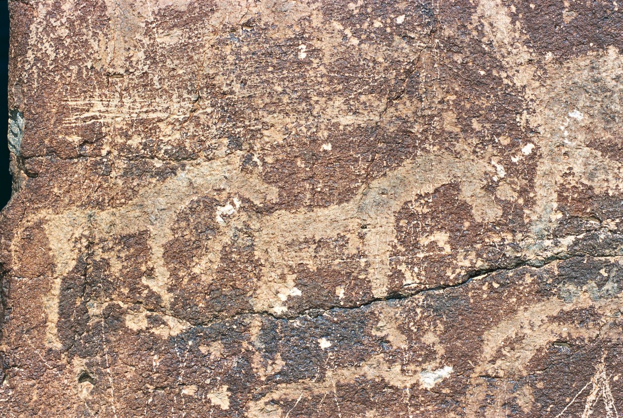 Mongolia, Gobi Desert, Rock Engraving by Benjamin Baud