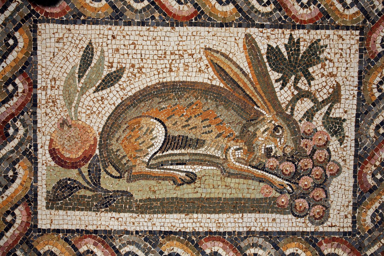 Mosaic Representing a Hare Grazing a Bunch of Grapes by Unbekannt