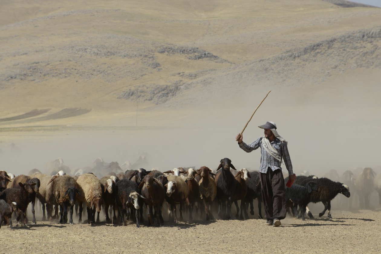 Nomadic tents between Tamar and Ashkhaneh, Iran 2022 by Unbekannter Künstler