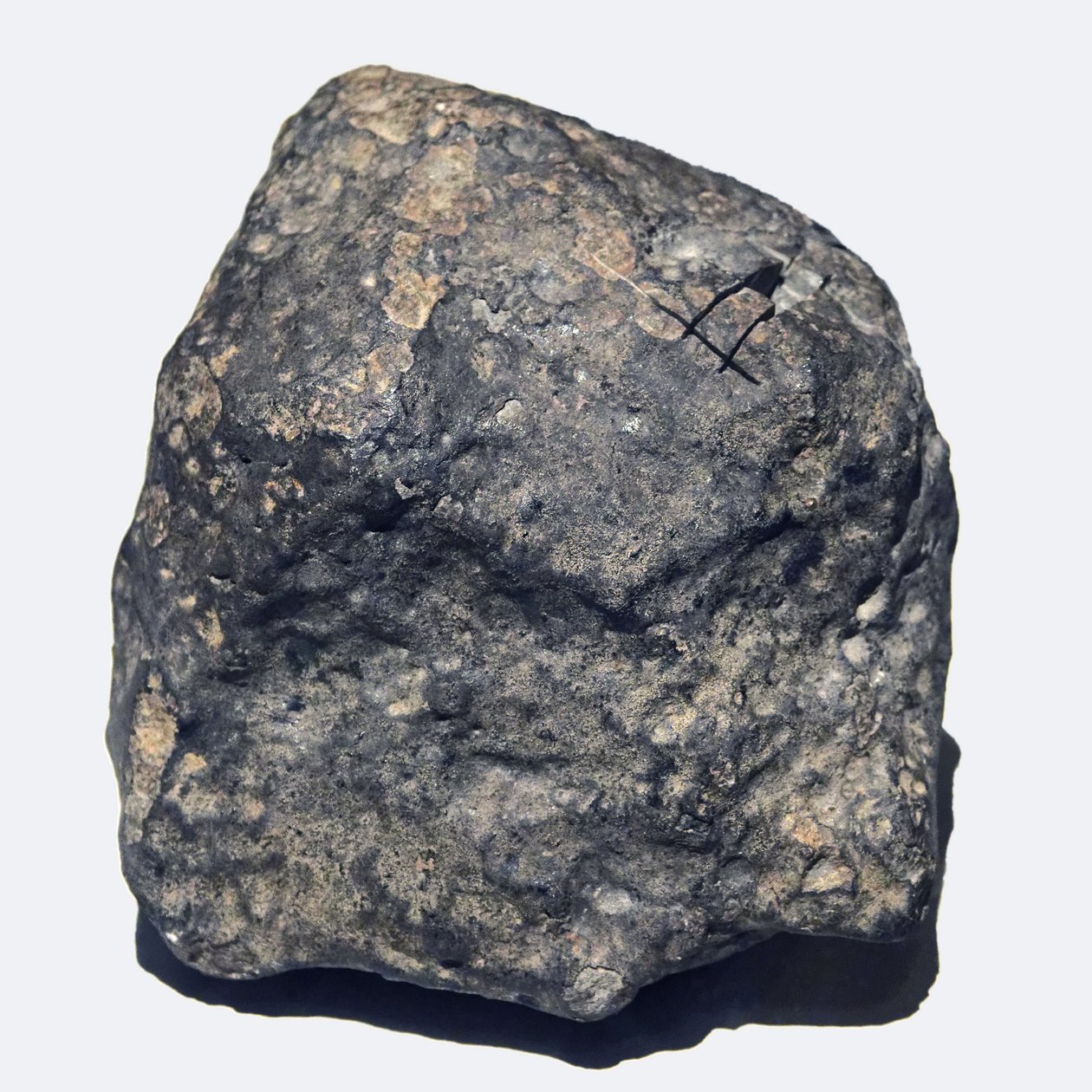 Ordinary chondrite (L/LL5). Fell in Ukraine in 1866. National Museum of Natural History, Paris. by Unbekannt