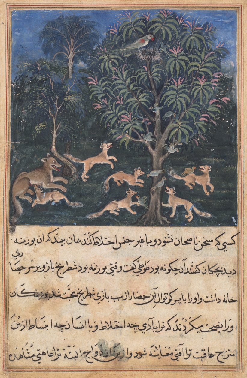 Page from Tales of a Parrot (Tuti-nama): Fifth Night: The Parrot Mother Cautions Her Young on the Danger of Playing with Foxes by Unbekannt