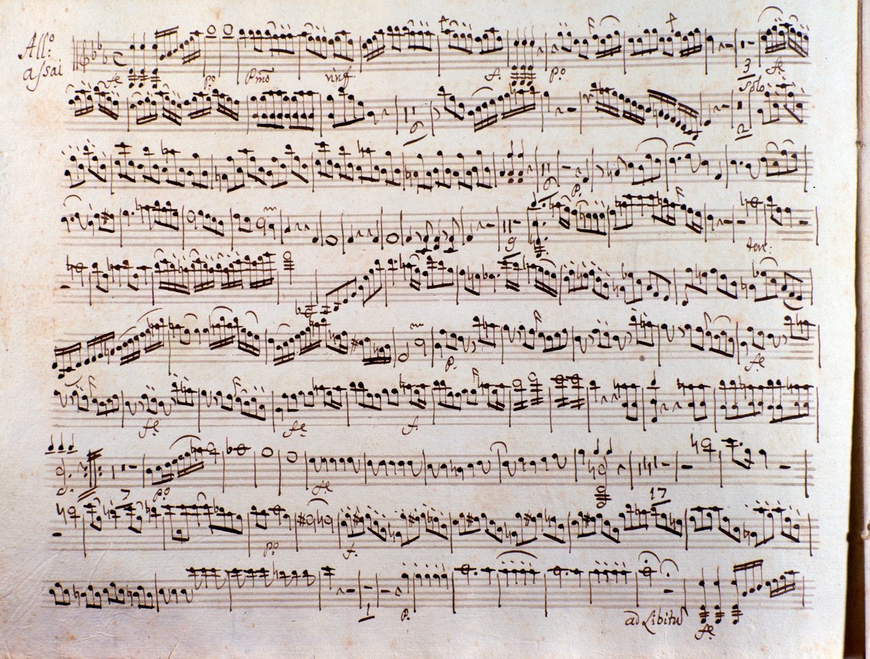 Page of musical score of a Sinfonia concertante by Pleyel by Unbekannter Künstler