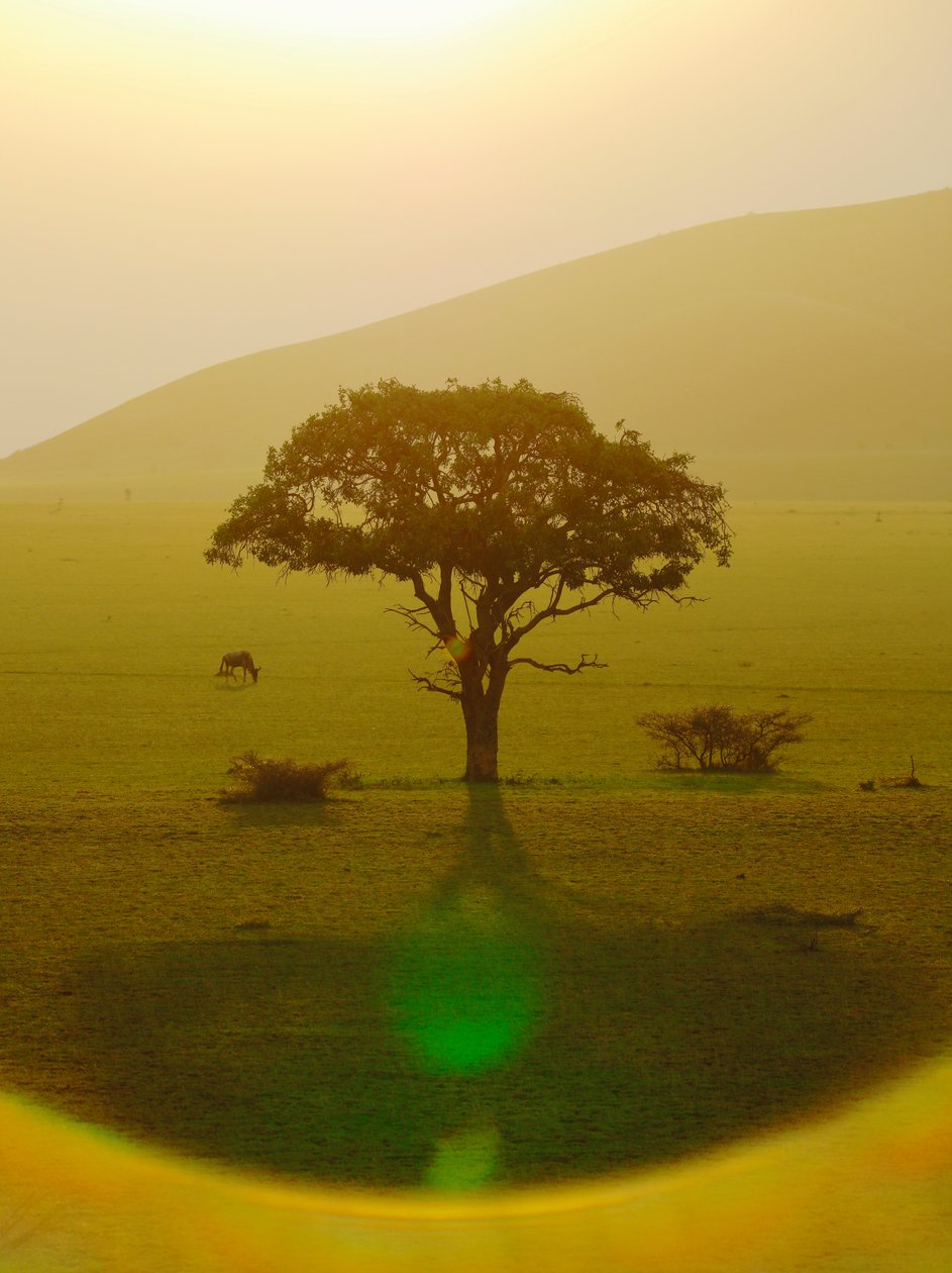 Paradise after the Rain, Chyulu Hills by Unbekannter Künstler