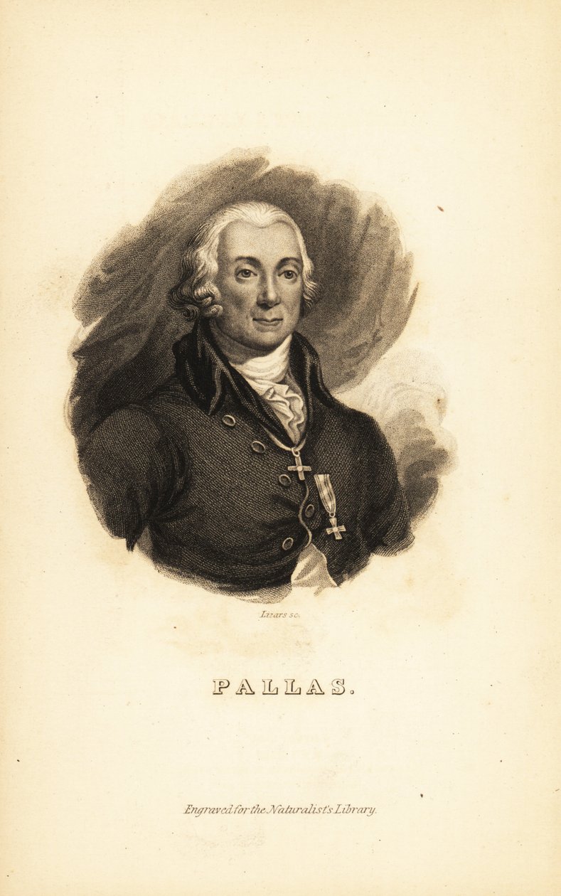 Peter Simon Pallas, German explorer, zoologist and botanist by Unbekannt