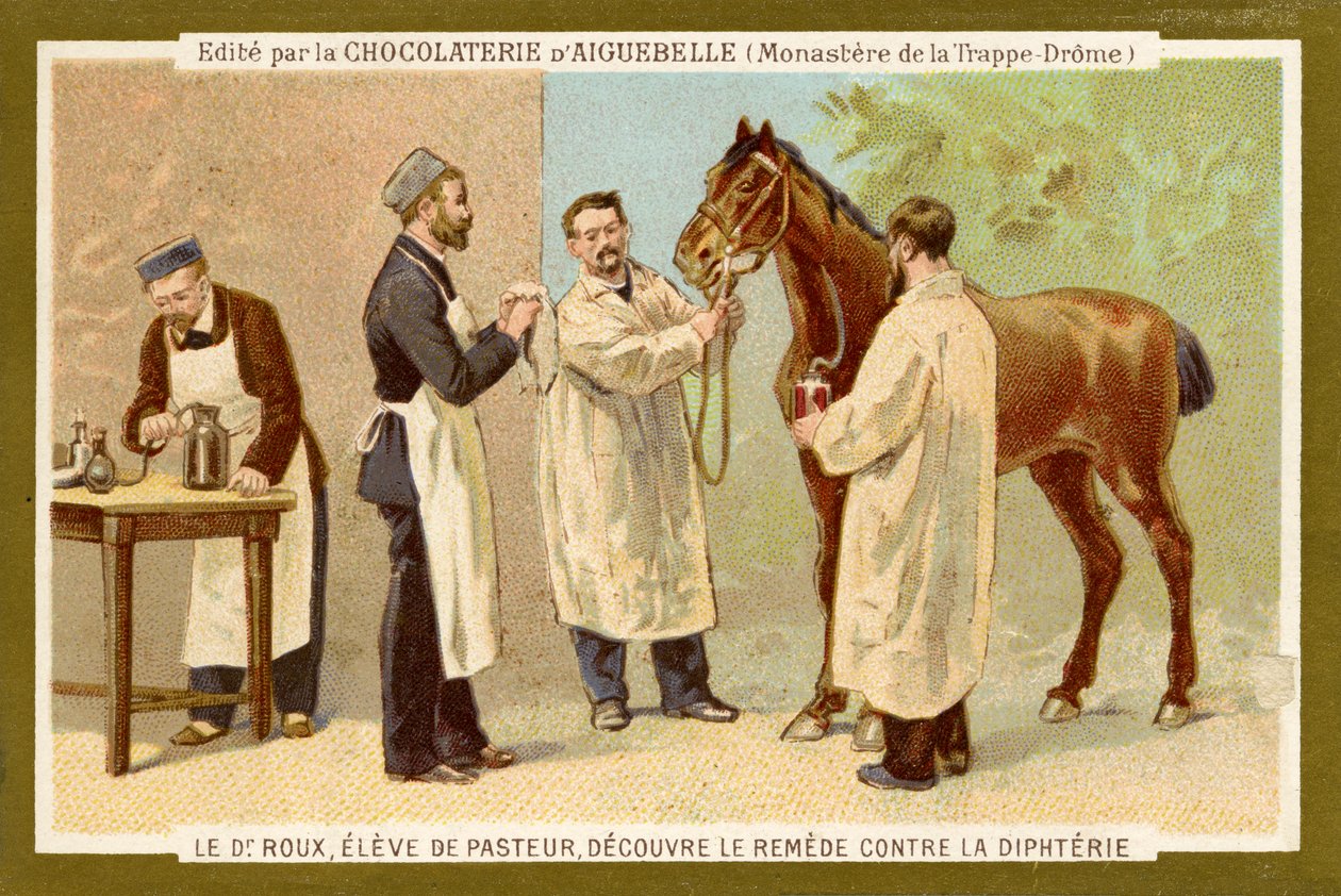Pierre Paul Émile Roux by Unbekannter Künstler
