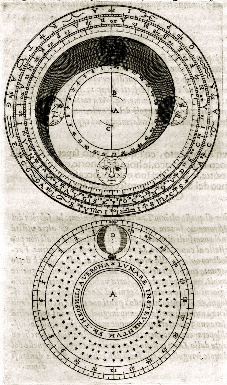 Plate drawn from 
