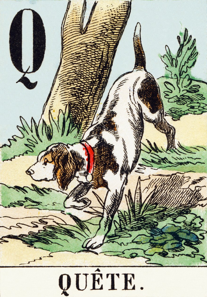 Q: Quest - The Hunting Alphabet, c.1890 by Unbekannt