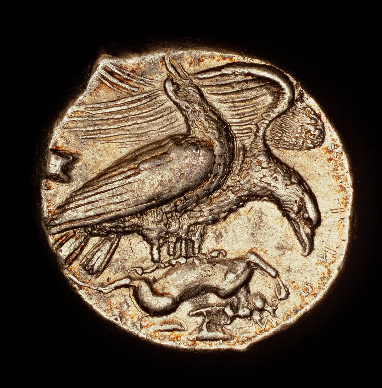 Rare Ancient Greek Coin, Silver Drachma, Agrigentum, Eagle with Hare (410 BC) by Unbekannter Künstler