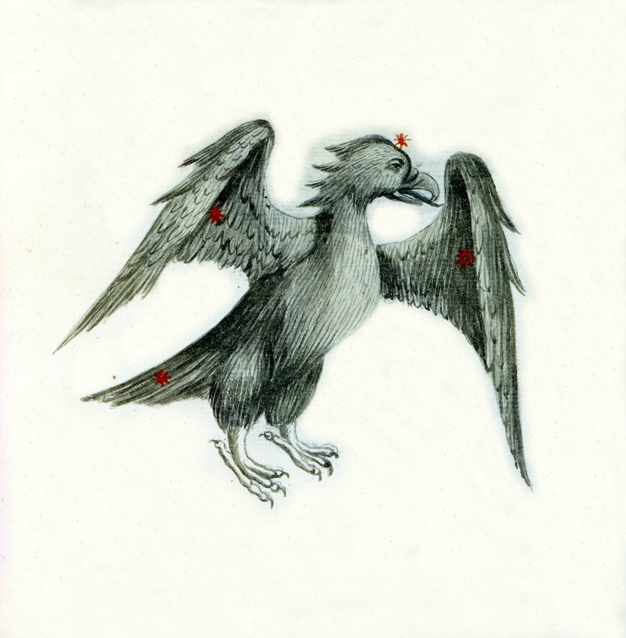 Representation of the Constellation of the Eagle by Unbekannter Künstler
