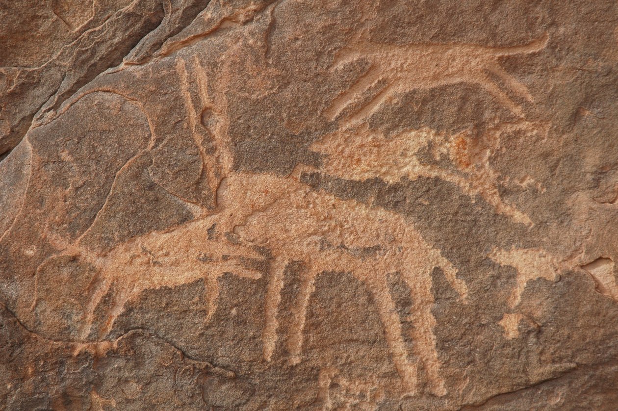 Rock art, Prehistory: Engraving of an antelope attacked by a pack of dogs in the Uweinat massif, Egypt (Period from 8000 to 3000 years BC). Photography by Unbekannt