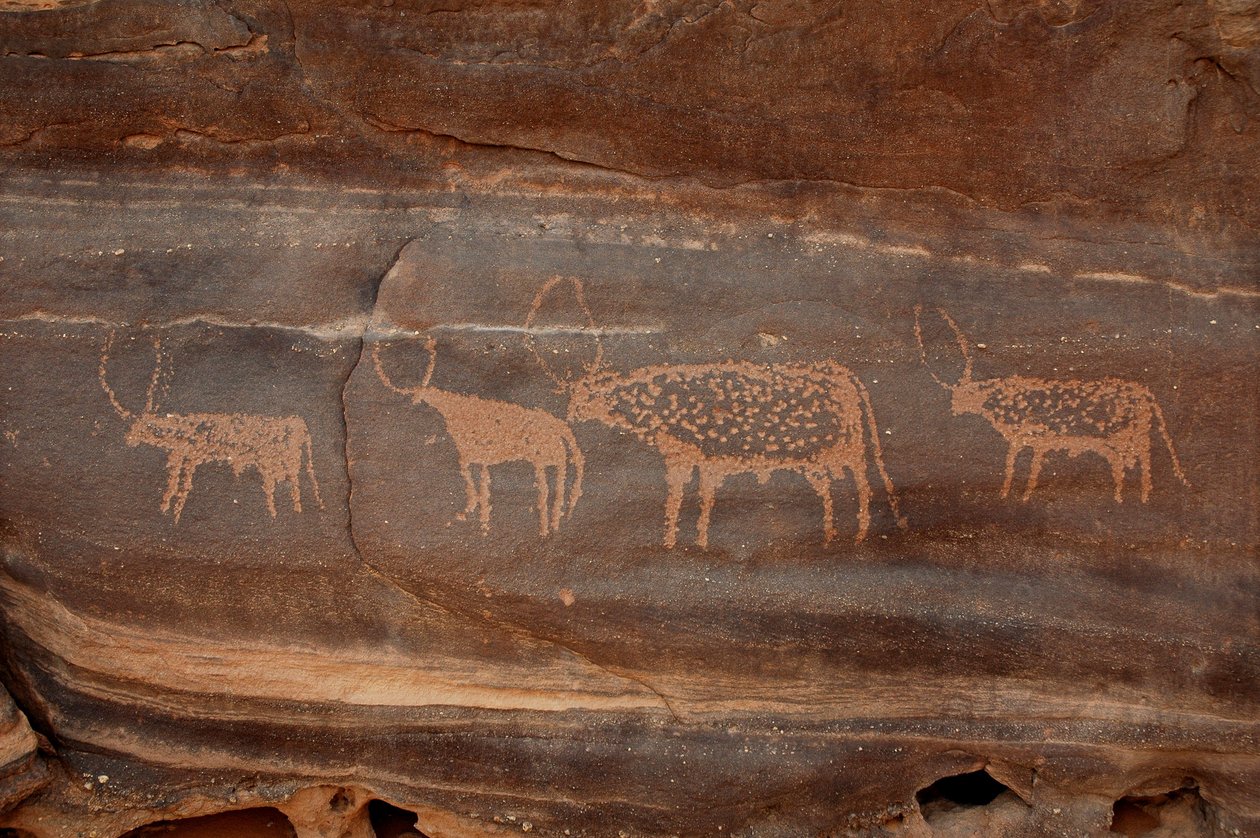 Rock art, Prehistory: Engraving of four cattle in the Uweinat massif, Sudan by Unbekannt