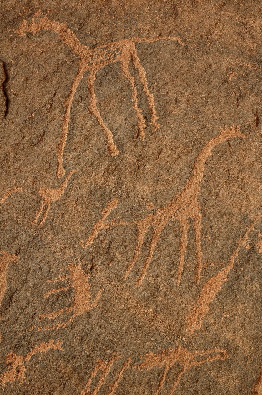 Rock art, Prehistory: Engraving of giraffes, ostriches, other animals and characters in the Uweinat massif, Sudan (Period from 8000 to 3000 years BC). Photography by Unbekannt