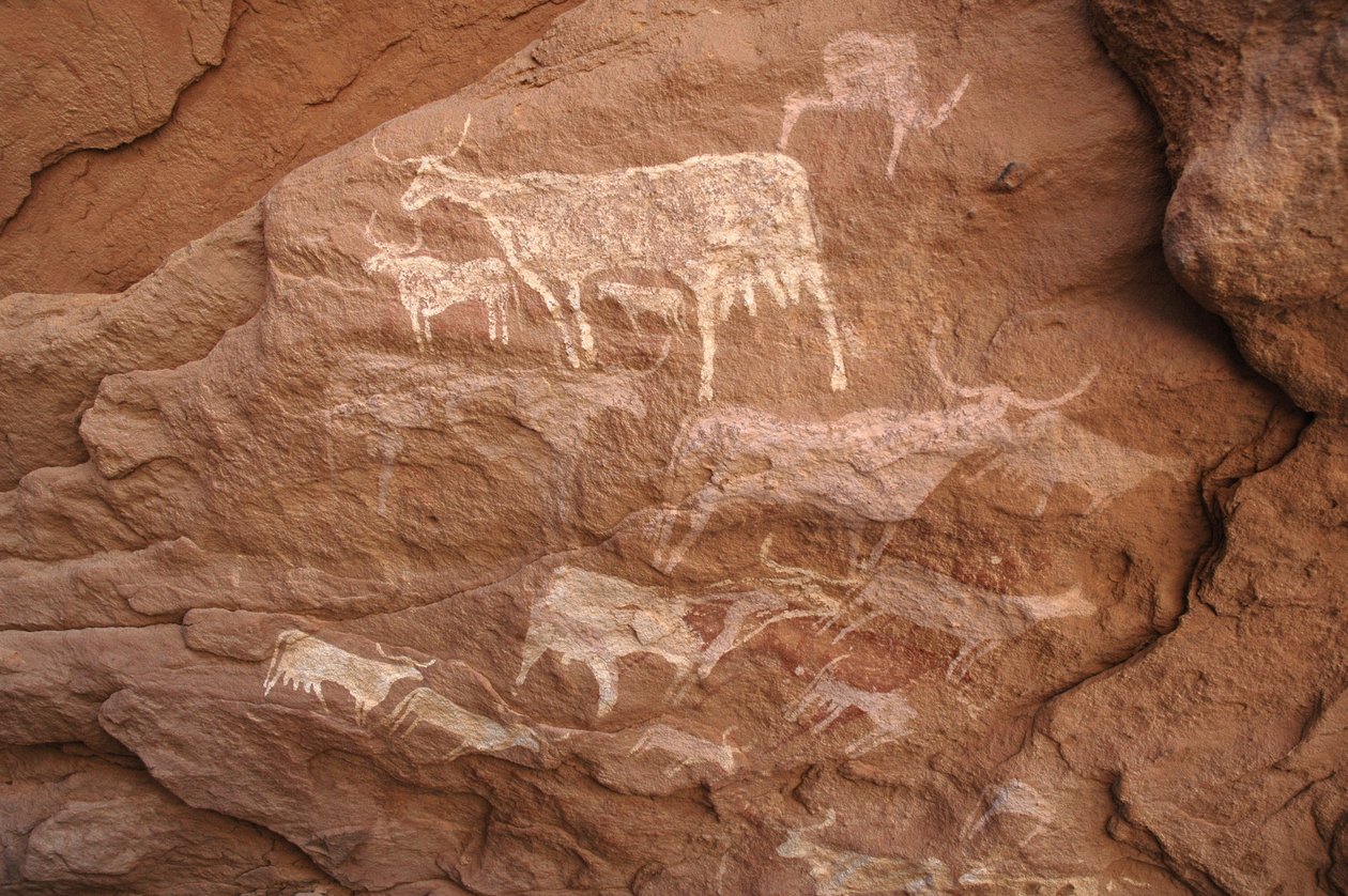 Rock Art, Prehistory: Rock Painting of Cattle in an Ornate Shelter, Uweinat Massif, Sudan (8000 to 3000 BC) by Unbekannt