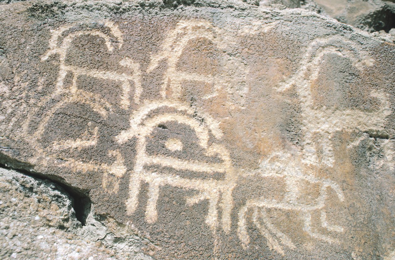 Rock Carvings in Hunza Valley, Near Karimabad Archaeological Area, Pakistan by Benjamin Baud
