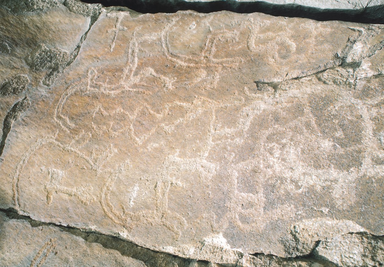 Rock Carvings in Hunza Valley, Near Karimabad Archaeological Area, Pakistan by William M. Timlin