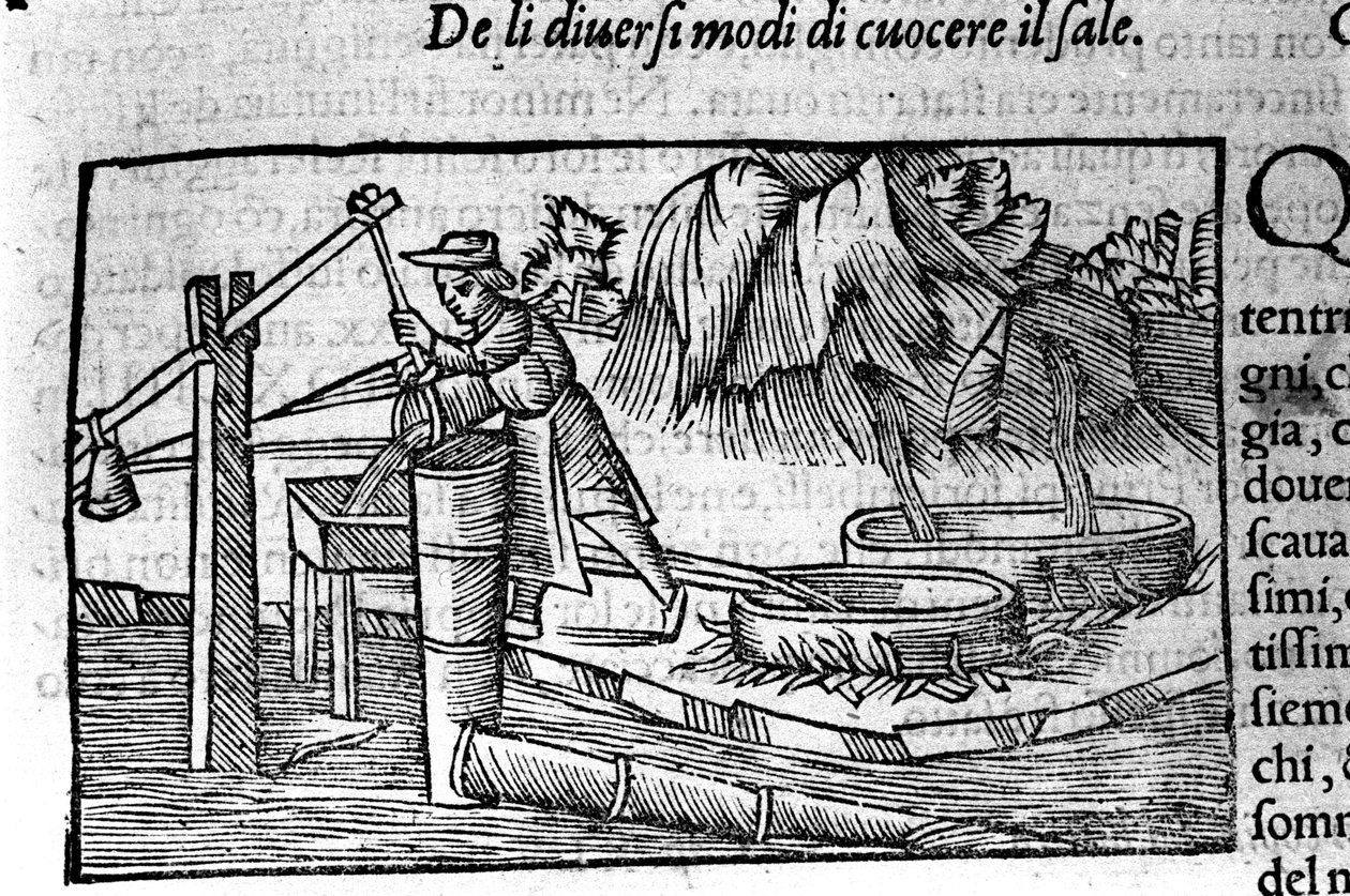 Salt production: cooking. Engraving by Olaus Magnus, Swedish religious and geographer, 