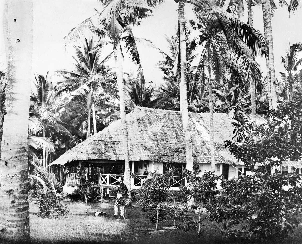 Singapore: A Private Bungalow Surrounded By Palm Trees, Singapore, c1875 by Unbekannt